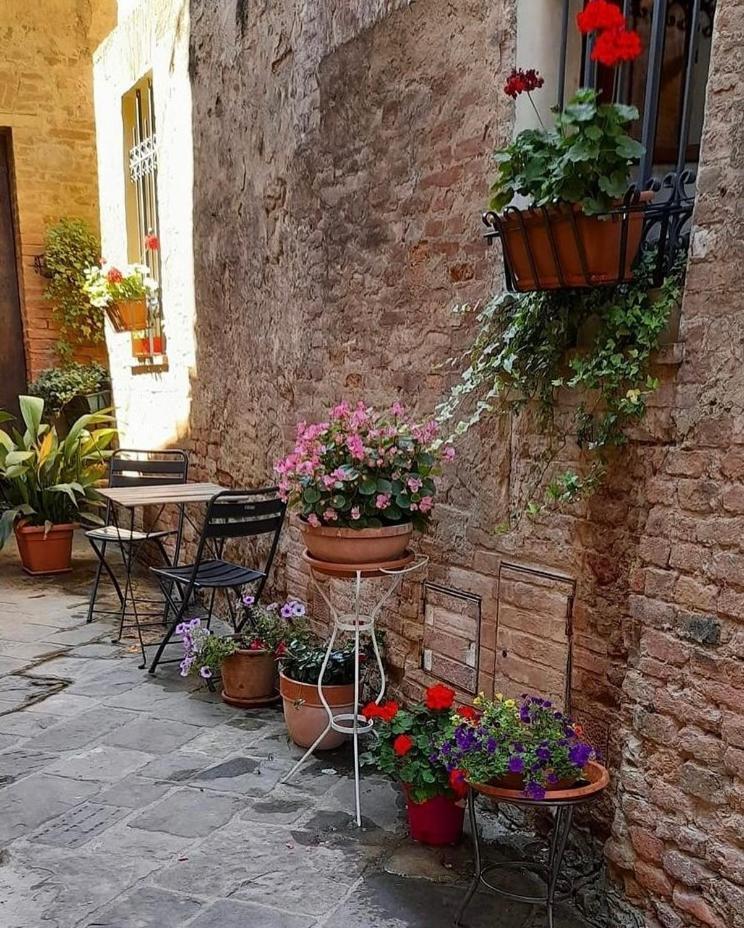 La Casina Apartamento Buonconvento Exterior foto